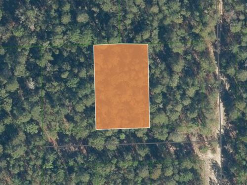 .32 Acres Near Georges Lake : Florahome : Putnam County : Florida