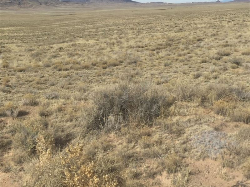 Explore Nature on 5 Acres in CO : Mesita : Costilla County : Colorado