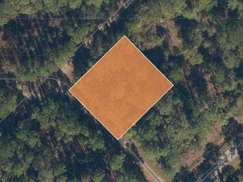 Large Double Lot in Paradise Lakes : Georgetown : Putnam County : Florida