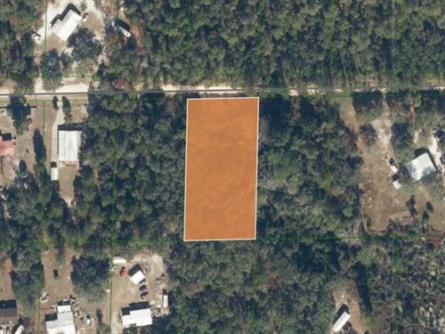 1+ Acre Homestead Friendly Lot : Pomona Park : Putnam County : Florida