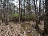 Jackson Road : Liberty : Amite County : Mississippi