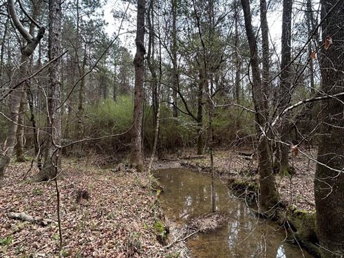 Jackson Road : Liberty : Amite County : Mississippi