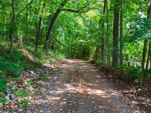 $999 Down with Electricity : Piedmont : Reynolds County : Missouri