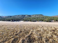 Pagosa Springs Property with Power : Pagosa Springs : Archuleta County : Colorado