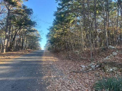 Delightful Fairfield Bay Lake Area : Fairfield Bay : Van Buren County : Arkansas