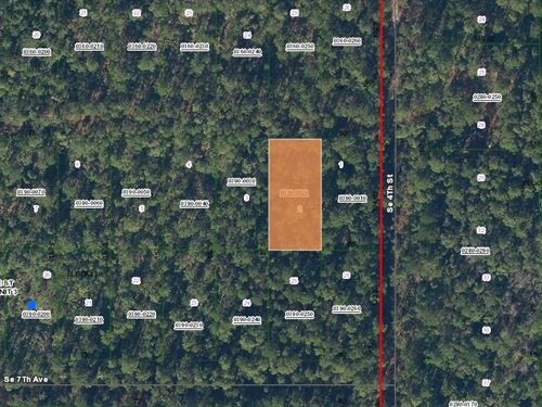 Off-Grid Living Starts at $199 Down : Federal Point : Putnam County : Florida