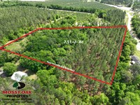 7.5 Ac Land For Sale in Pierce : Patterson : Pierce County : Georgia