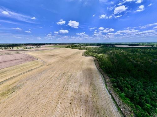 19.95 Acres of Mu : Trenton : Jones County : North Carolina