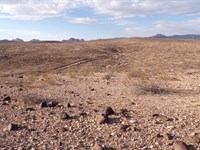 Don't Miss This for a Limited Time : Yucca : Mohave County : Arizona