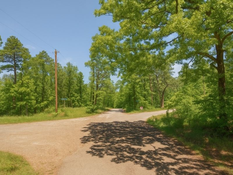Peaceful Country Living in Bigelow : Bigelow : Perry County : Arkansas