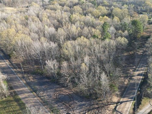 10 Acre Building Site Near Brighton : Brighton : Tipton County : Tennessee