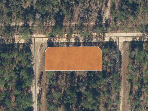 Beautiful Wooded Corner Lot : Interlachen : Putnam County : Florida