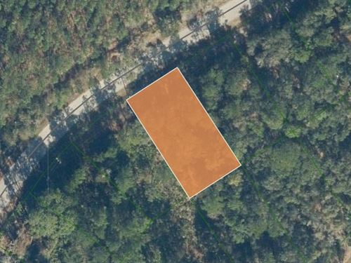 Beautiful Wooded Florahome Lot : Florahome : Putnam County : Florida