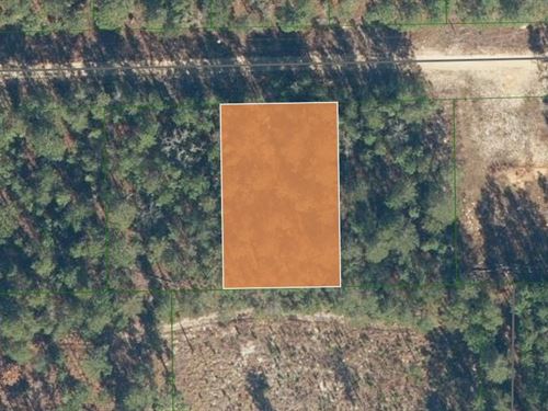 Lightly Wooded .34 Acres Near Lake : Florahome : Putnam County : Florida