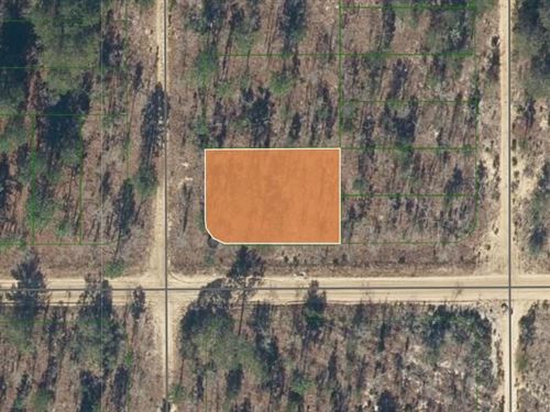 Beautiful Putnam Lot Near Lake : Interlachen : Putnam County : Florida
