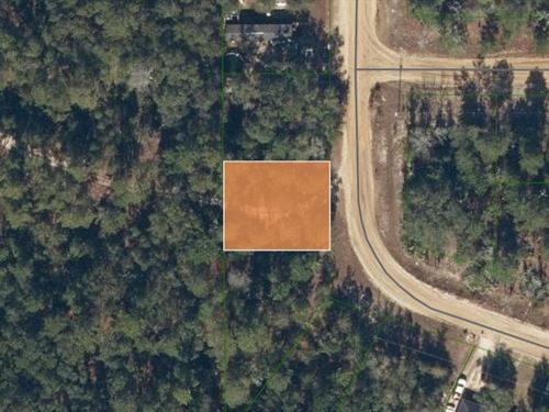 Lovely Interlachen Lakes Estate Lot : Interlachen : Putnam County : Florida