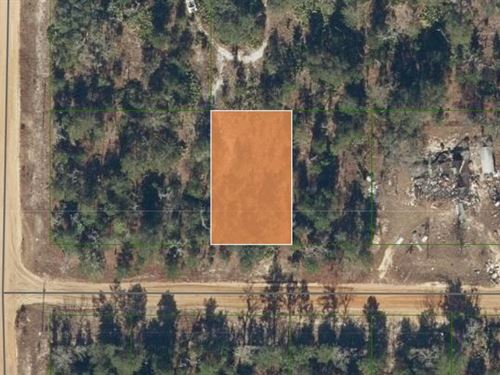 Beautiful Interlachen 0.22 Acres : Interlachen : Putnam County : Florida