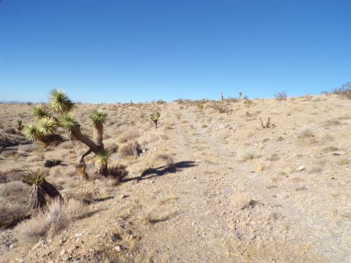 Escape The Ordinary, Go Off Grid : Willow Beach : Mohave County : Arizona