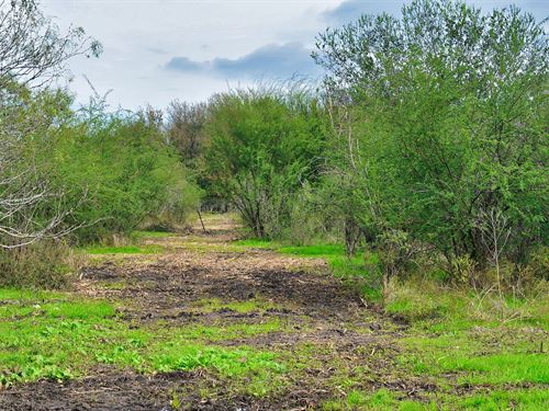 1 Acre in Caldwell County, Texas : Lockhart : Caldwell County : Texas