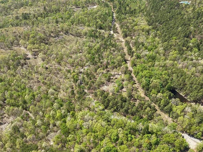 4 Acres in Polk County, AR : Mena : Polk County : Arkansas