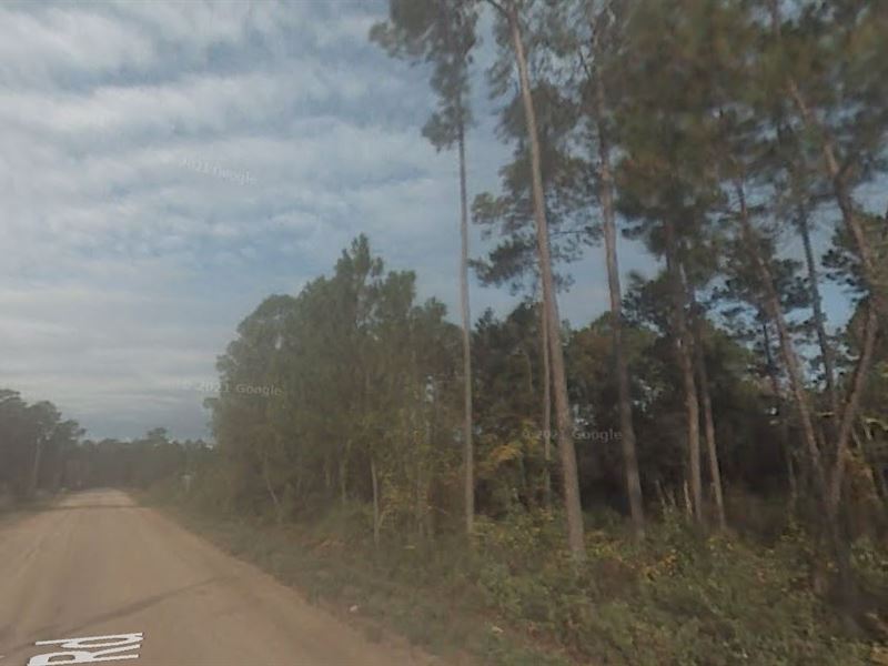 Side by Side Acres, Youngstown FL : Youngstown : Bay County : Florida
