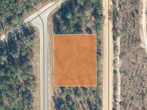 .48 Lot Minutes From George's Lake : Florahome : Putnam County : Florida
