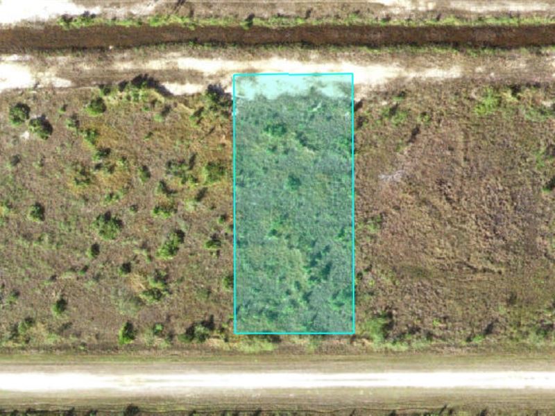 Half Acre in Indian Lake Estates : Indian Lake Estates : Putnam County : Florida