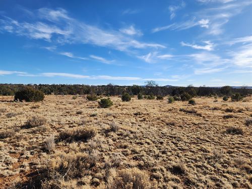 Endless Imagination with 5+ Acres : Pinehill : Cibola County : New Mexico