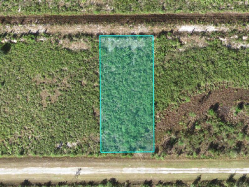Half Acre in Gated Lake Community : Indian Lake Estates : Polk County : Florida