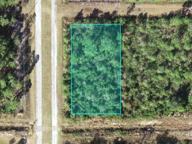 .6 Acres in Gated Lake Community : Indian Lake Estates : Polk County : Florida