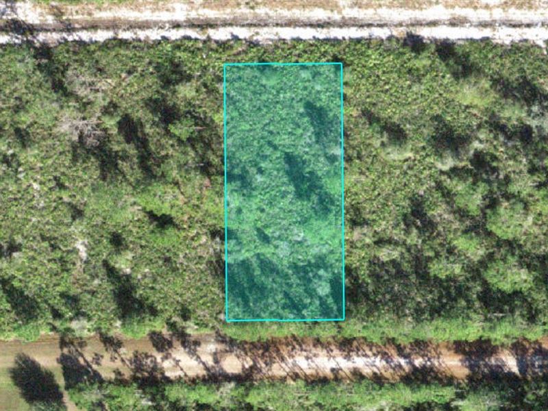 Residential Half Acre Near Lake : Indian Lake Estates : Polk County : Florida