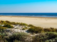 Stunning Beach Property, Make Offer : Magnolia : Calhoun County : Texas
