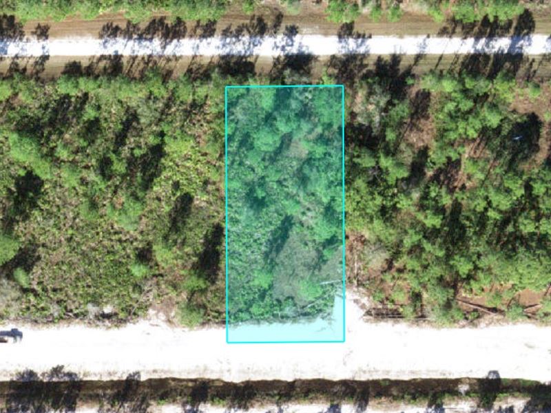 Half Acre in Growing Lake Community : Indian Lake Estates : Polk County : Florida