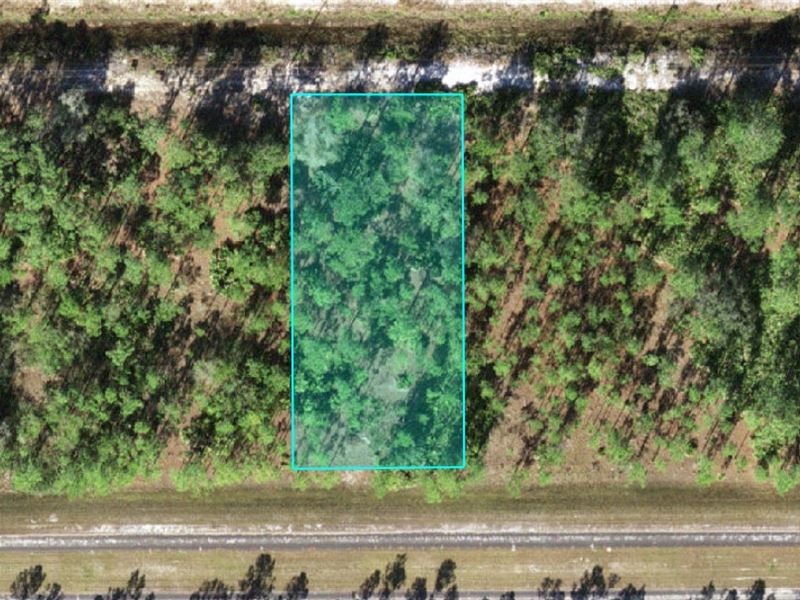 Peaceful .5 Acres in Lake Community : Indian Lake Estates : Polk County : Florida
