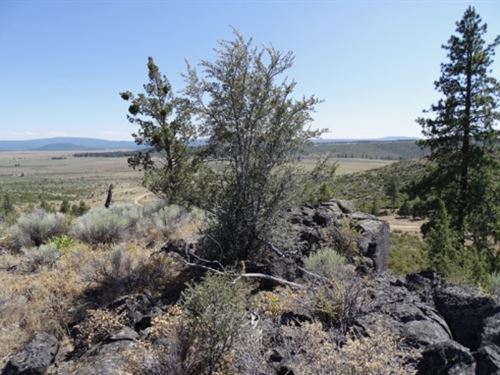 Homesteader's Dream in Chiloquin : Chiloquin : Klamath County : Oregon