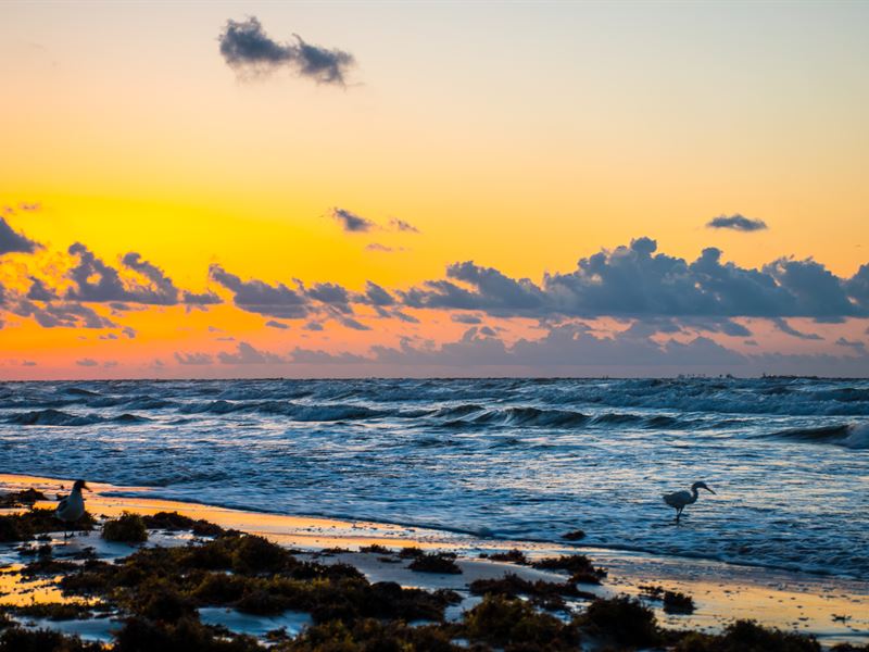 Recreational Property, Only $199/Mo : Magnolia : Calhoun County : Texas