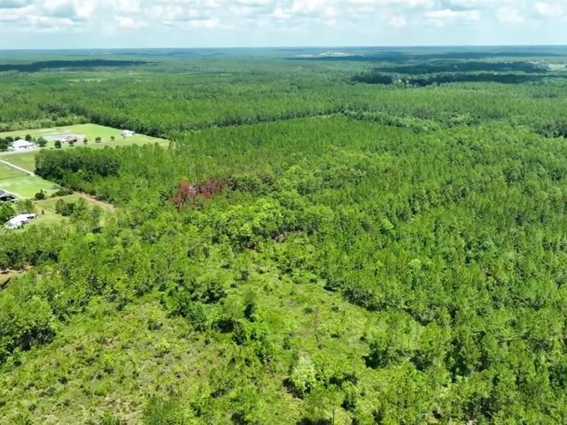 Beautiful 3 Acres Agricultural Lot : Interlachen : Putnam County : Florida