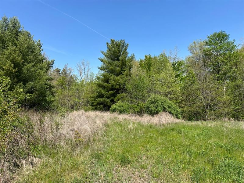 12.74 Acres in Rosedale, Indiana : Rosedale : Vigo County : Indiana