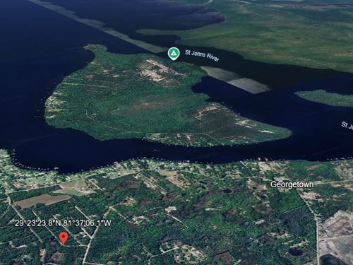 Wooded Georgetown Lot Near Lake : Georgetown : Putnam County : Florida