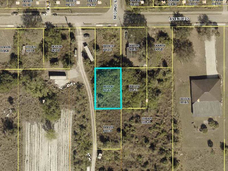 Small, Wooded Homesite in Alva : Alva : Lee County : Florida