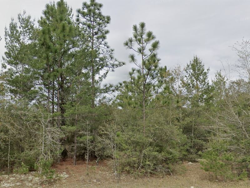 Your Quiet Neighborhood Awaits : Defuniak Springs : Walton County : Florida
