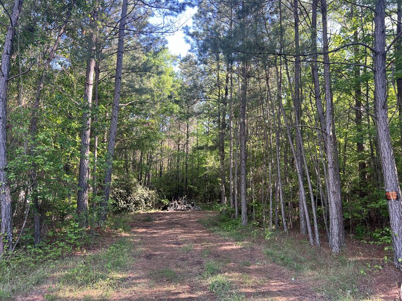 Broadway Lake Lot 4 : Anderson : Anderson County : South Carolina