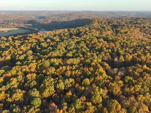 Johnson Ridge Lot 2 : Tecumseh : Ozark County : Missouri