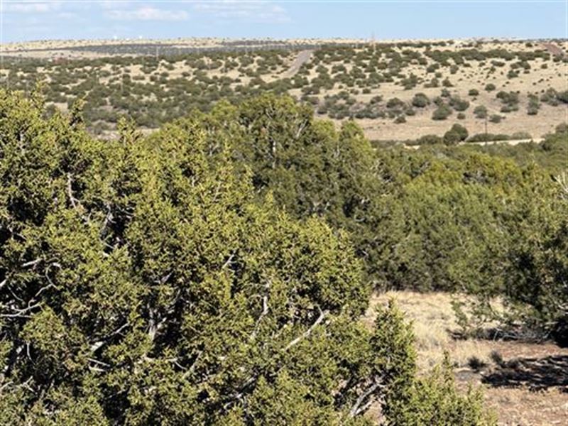 2.5 Acre Double Lot in Town : Concho : Apache County : Arizona
