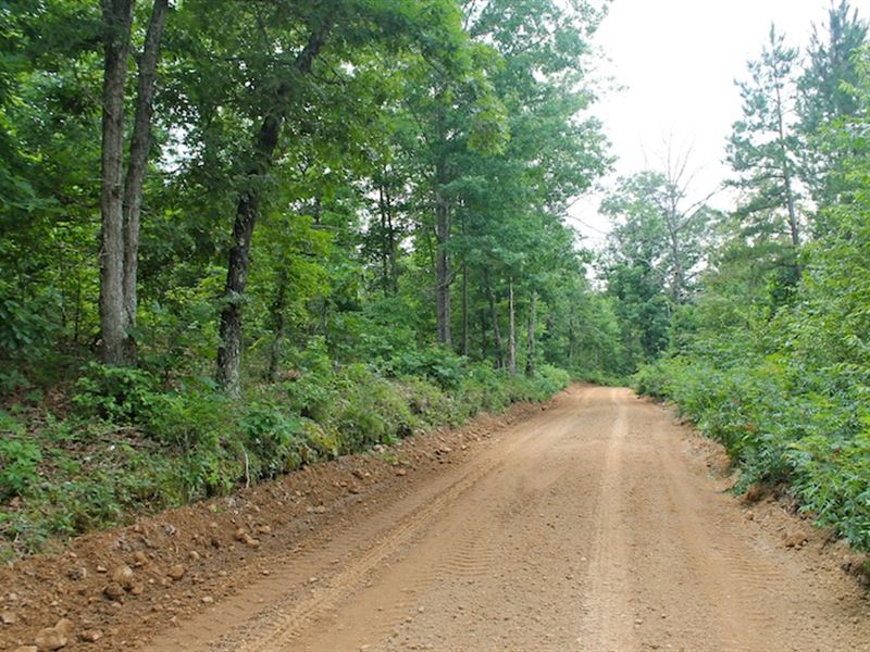 $199 Down and no Credit Check : Winnona Township : Shannon County : Missouri