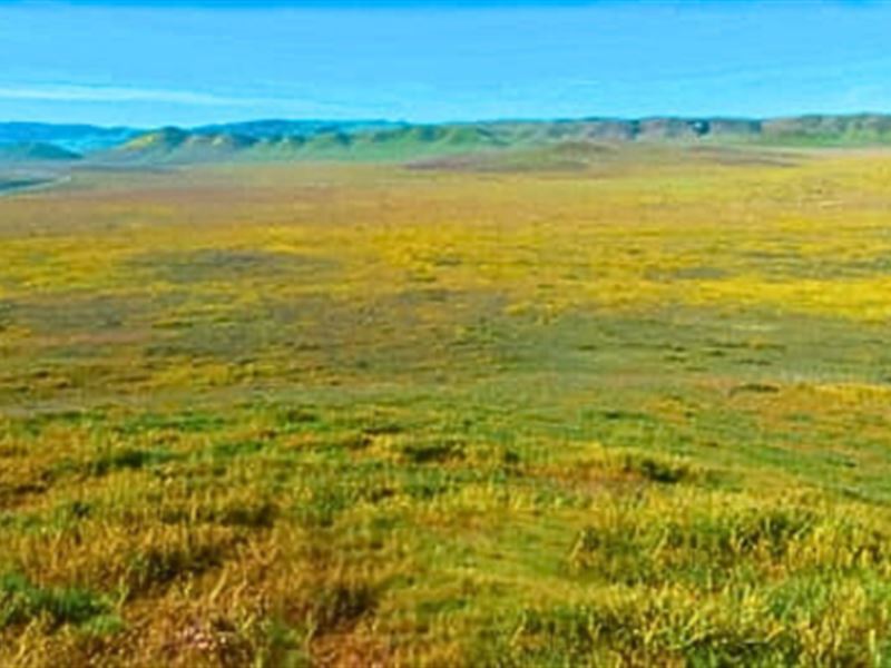 Your Next Home or Investment : Santa Margarita : San Luis Obispo County : California