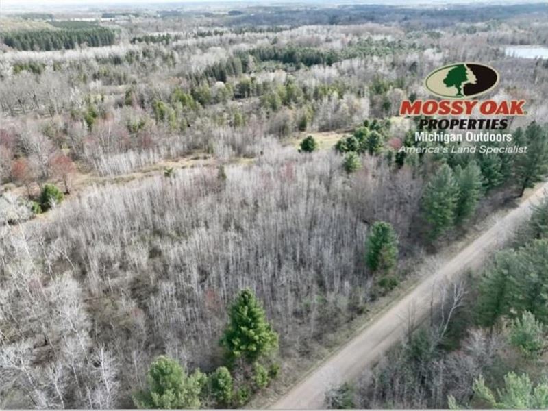 W Youngs Rd, Gladwin Mi, 48626 / 20 : Gladwin : Gladwin County : Michigan