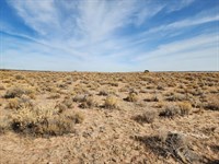 Off Grid Paradise : Chambers : Apache County : Arizona