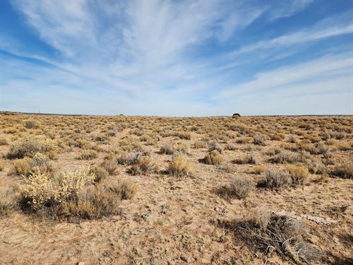 Off Grid Paradise : Chambers : Apache County : Arizona