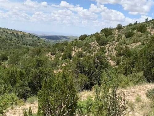 Wooded Mountain Hideaway : Timberon : Otero County : New Mexico